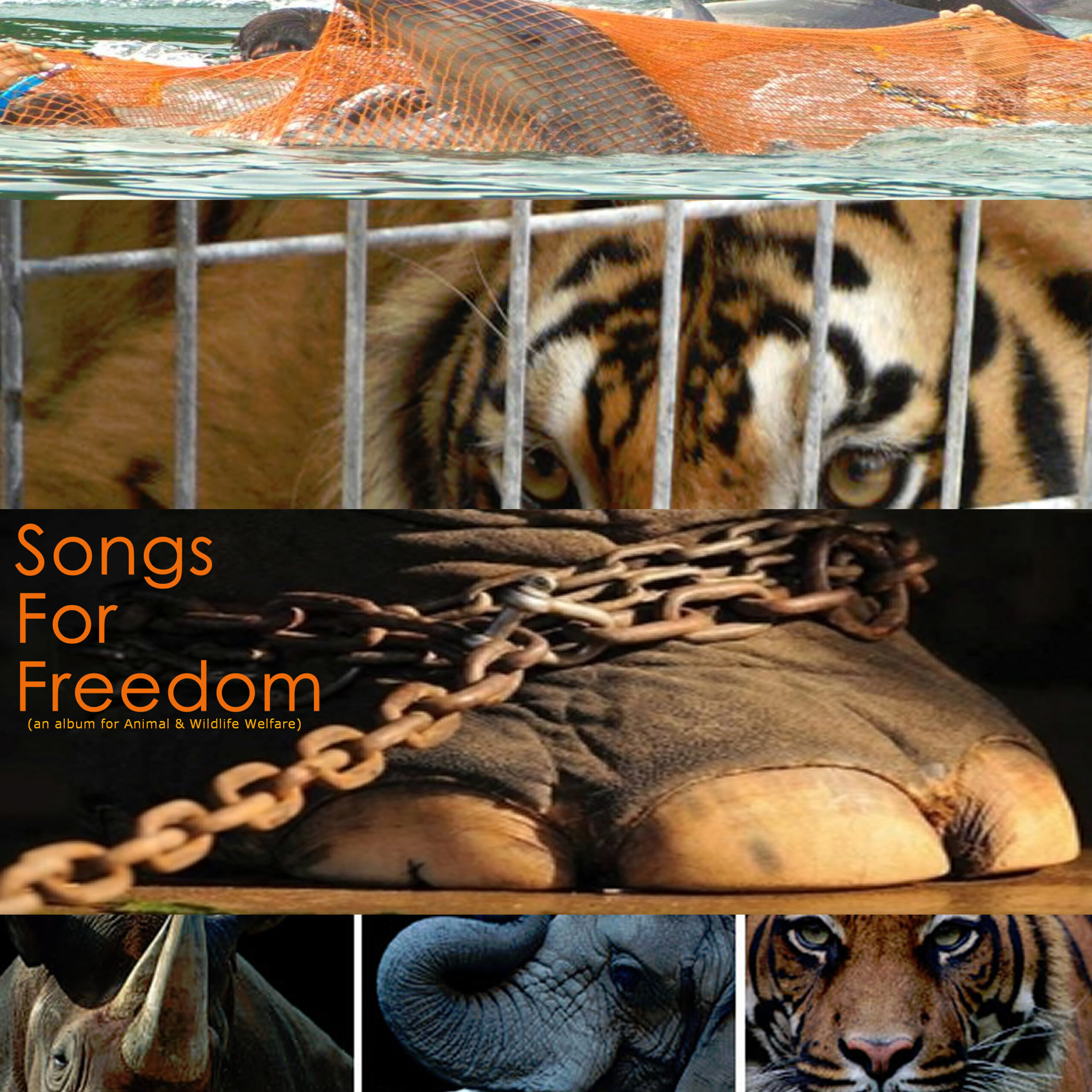 Sunset Special Markets Released Songs For Freedom: A Landmark Album Supporting Animal and Wildlife Welfare